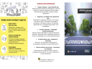 Водитель! Пропусти пешехода !