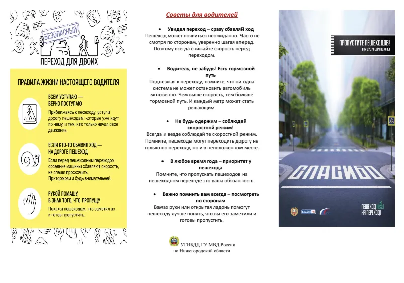 Водитель! Пропусти пешехода !