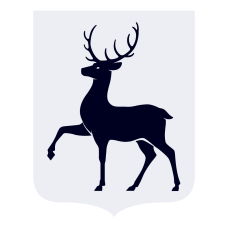 Министерство образования и науки Нижегородской области информирует о том, что ГУ МВД России по Нижегородской области разработаны информационные материалы о видах дистанционных мошенничеств.